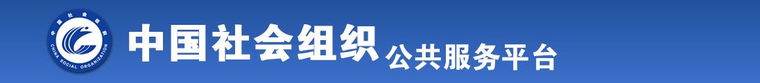 骚屌日全国社会组织信息查询